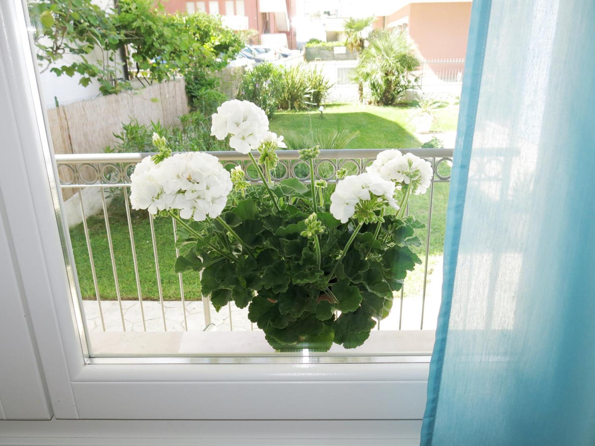 Residence Amarein Caorle Kültér fotó